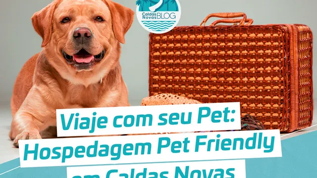 Hospedagem Pet Friendly em Caldas Novas: 4 Condomínios que aceitam seu amigo de quatro patas