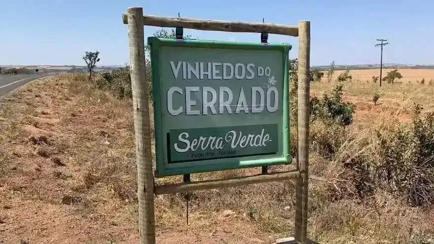 Vinhedos do Cerrado