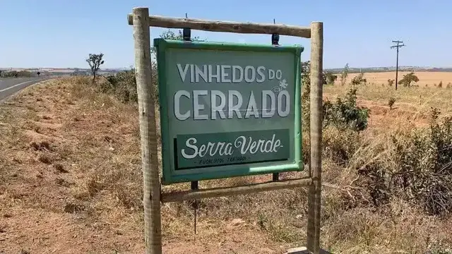 Vinhedos do Cerrado