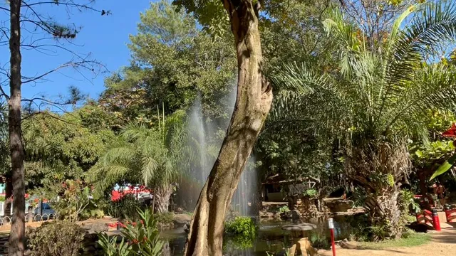 Jardim Japonês em Caldas Novas