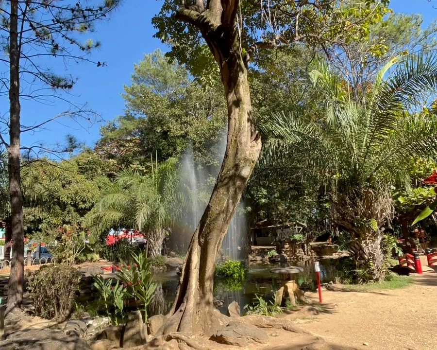 Jardim Japonês em Caldas Novas
