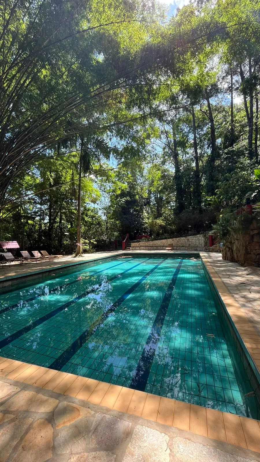 piscina.jpeg