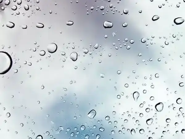chuva em caldas's post cover image
